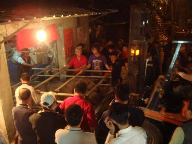 準備要殺豬公了 準備要殺豬公了