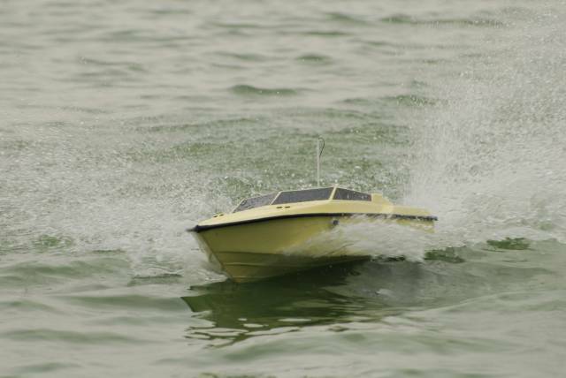 DSC_7915.jpg