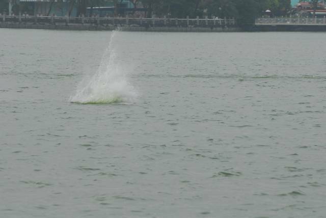 DSC_7067.jpg