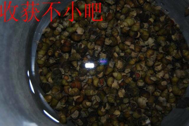 5.1活&#21160;12.JPG