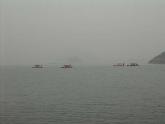 2008除夕 204.jpg
