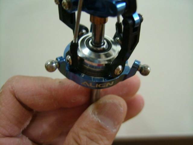 DSCF1186.jpg