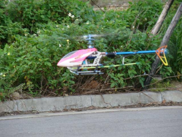 DSC00209.JPG