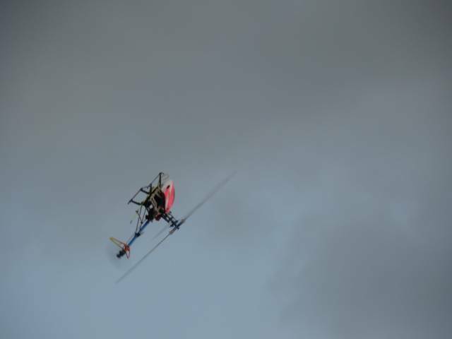 DSC00143.JPG