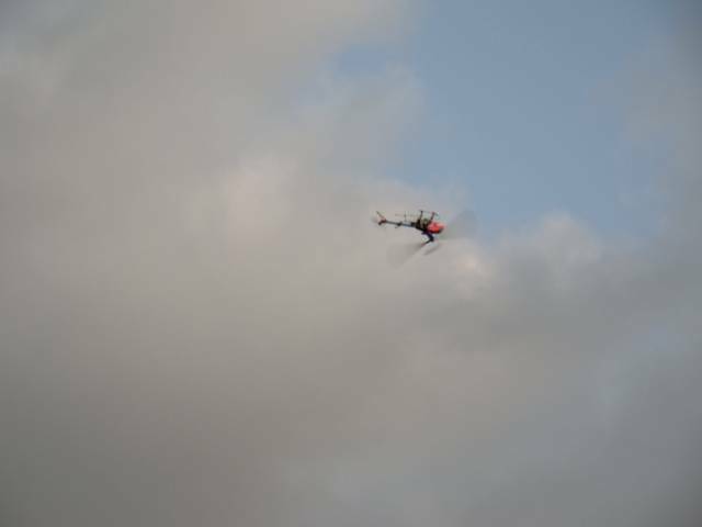 DSC00141.JPG