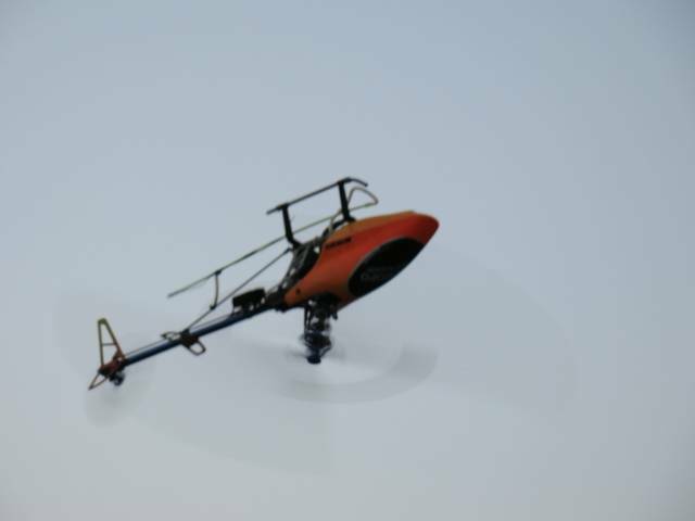 DSC00225.JPG