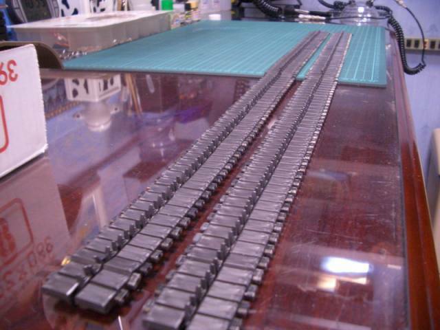 081.JPG