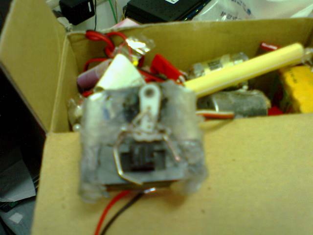 IMG0425A.jpg