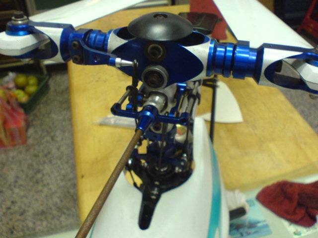 DSC01018.JPG