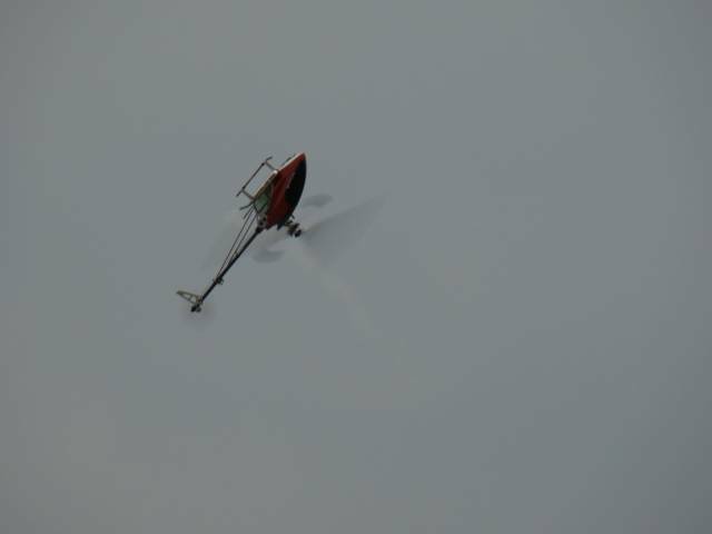 DSC00330.JPG