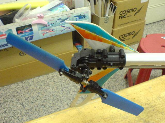 DSC01017.JPG
