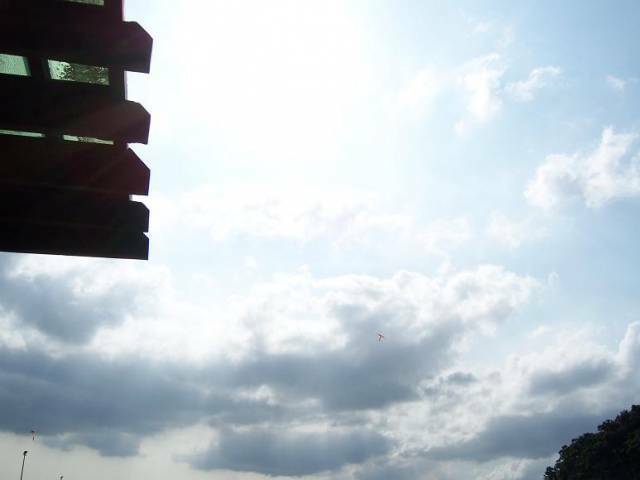 100_5117.jpg