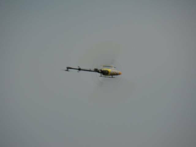 DSC00355.JPG