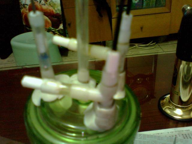 IMG0433A.jpg