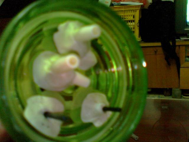 IMG0432A.jpg