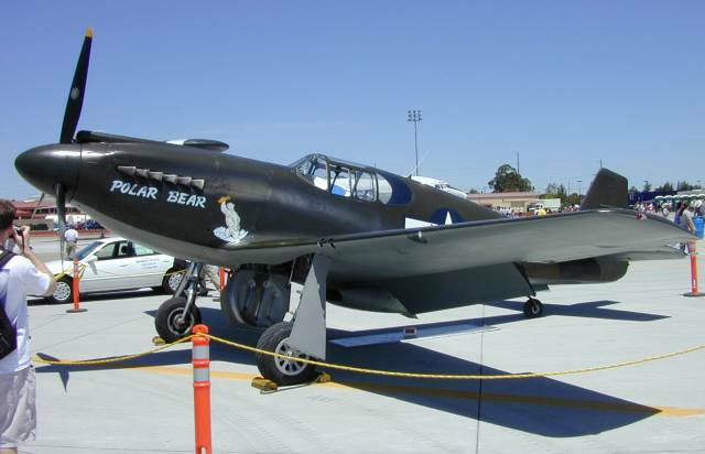 P51.jpg