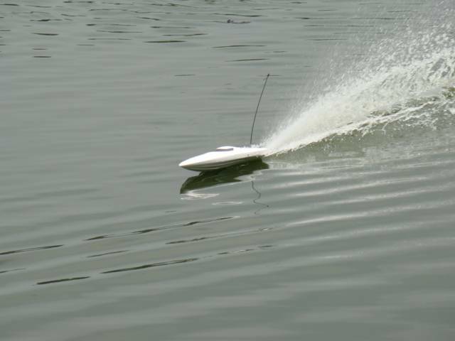 DSC00510.JPG