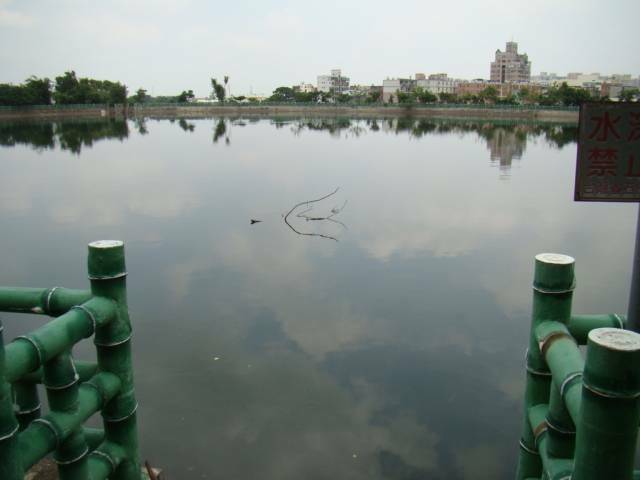 DSC00475.JPG