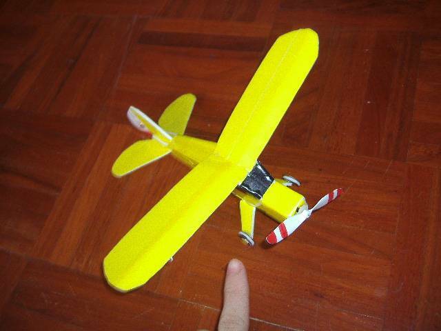 P5181732.JPG