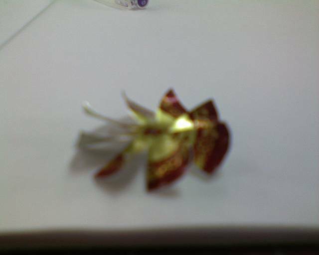 DSC00040.JPG
