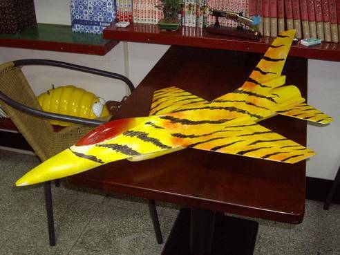 F-16 tiger 2.jpg