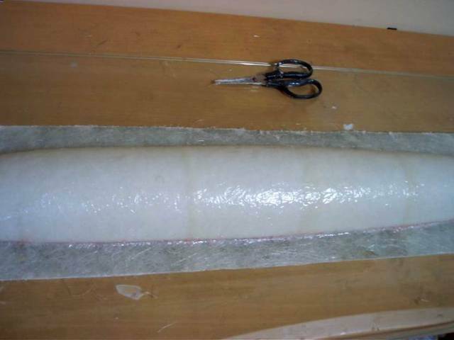 CAM_3565.JPG