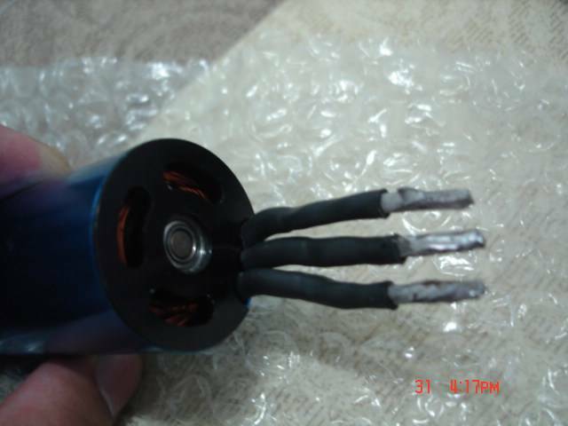 DSC01878.JPG