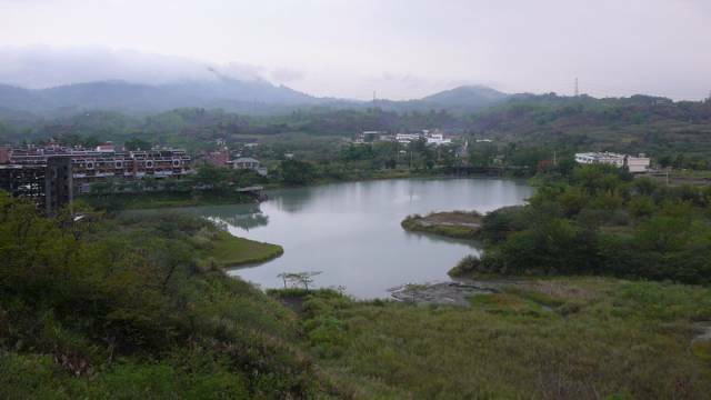 P1050037.jpg