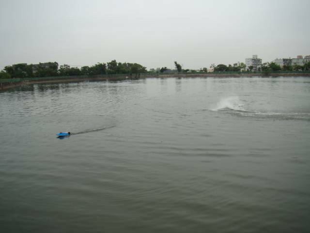 DSC00982.JPG