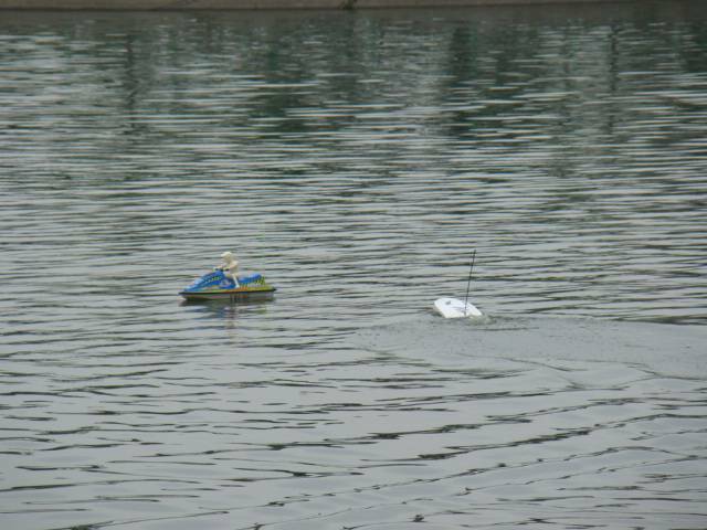 DSC01037.JPG