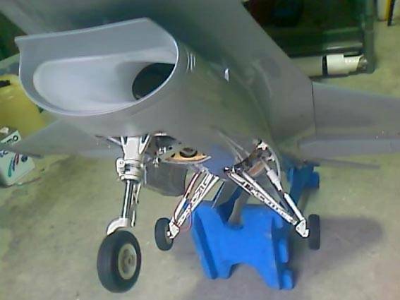 IMAGE_195.jpg