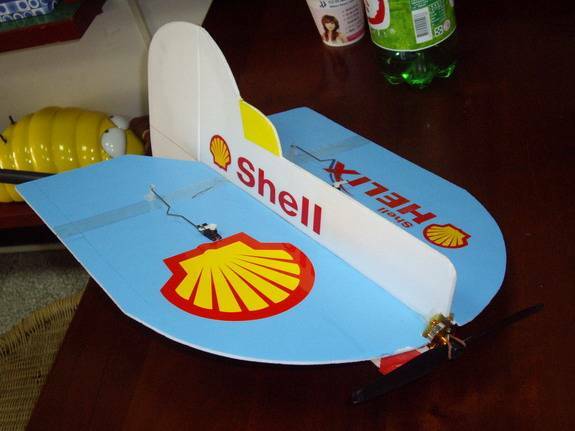 shell-3.jpg