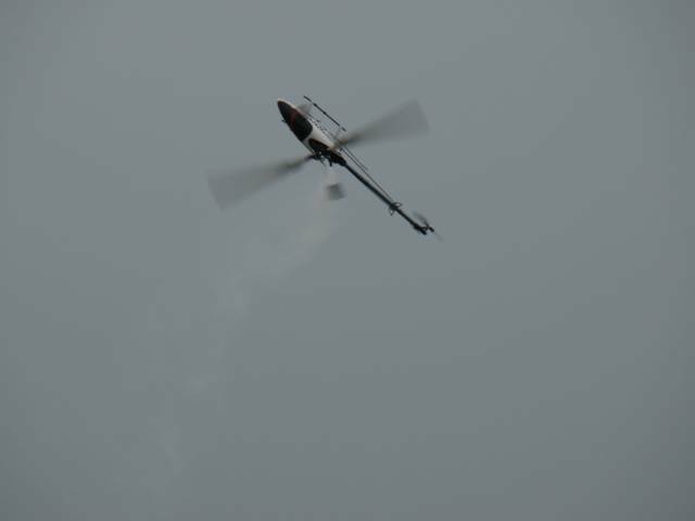 DSC01381.JPG