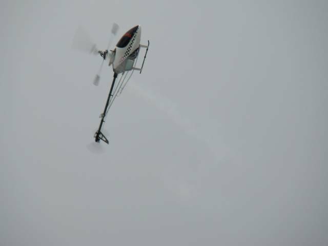 DSC01380.JPG