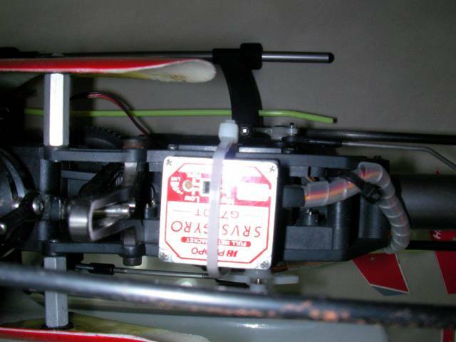 SANY0013.JPG