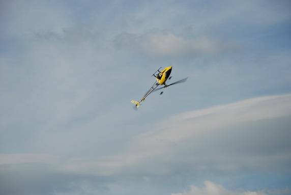 DSC_0073.jpg
