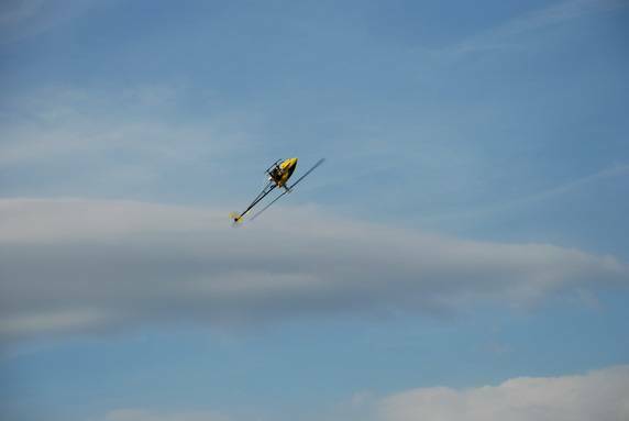 DSC_0060.jpg