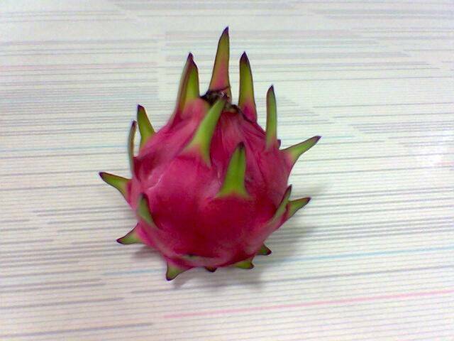 影像0050.jpg