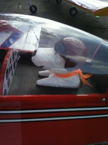 snoopy for pits flyer