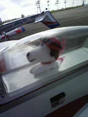 kayso snoopy flyer