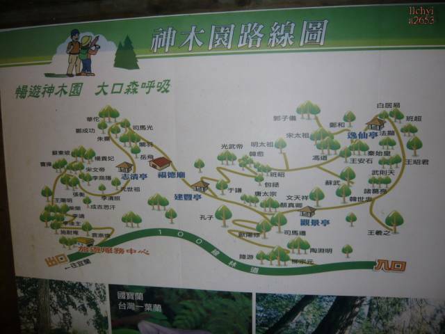 P1000193.jpg