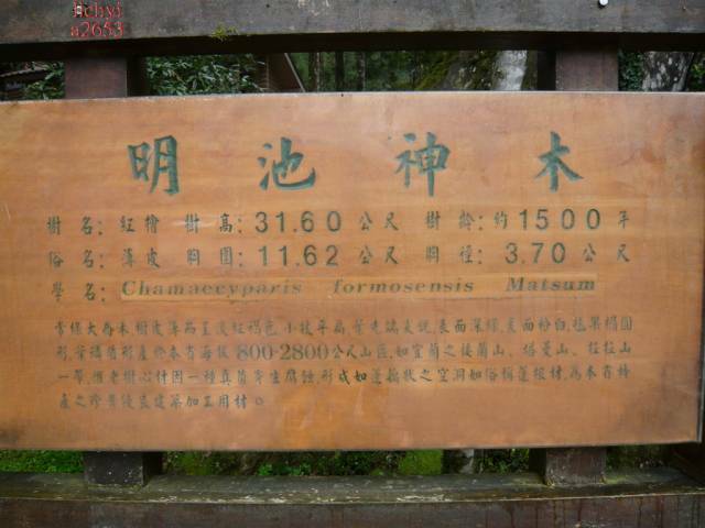 P1000159.jpg