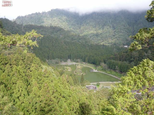 P1000237.jpg