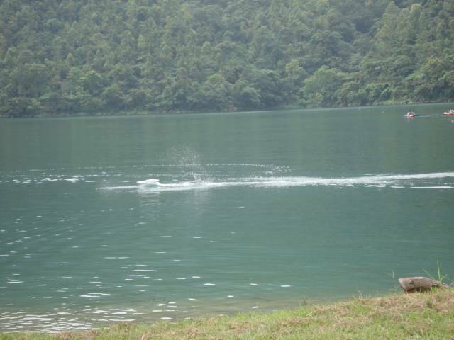 DSC02770.JPG