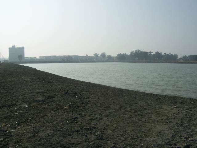 PIC_0001.JPG