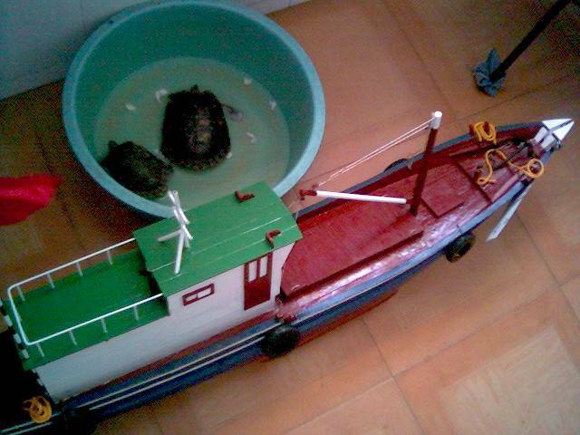 0707_113301.jpg