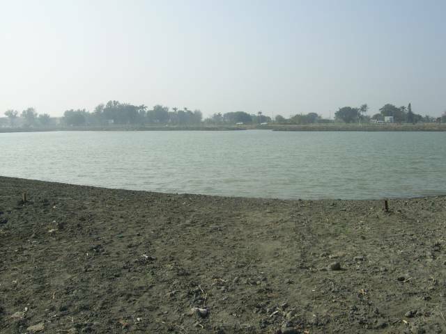 PIC_0002.JPG