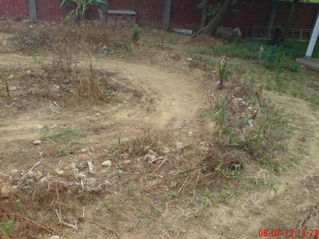 調整大小DSC00452.JPG