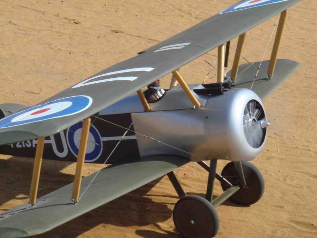 Sopwith Camelo2.jpg