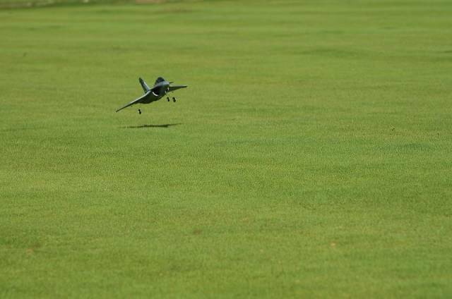 nEO_IMG_DSC_2402.jpg